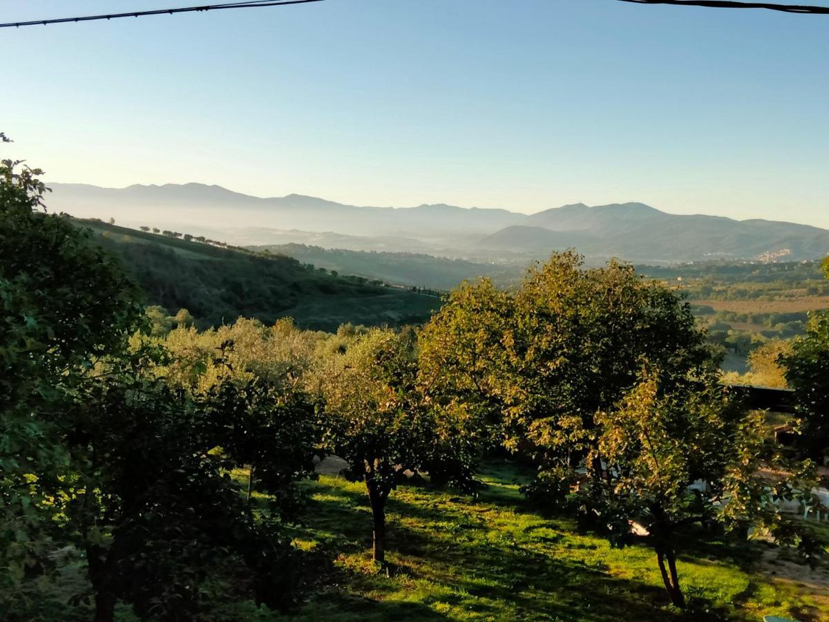 Bed and Breakfast Casale Del Tempo Lento Narni Exteriér fotografie